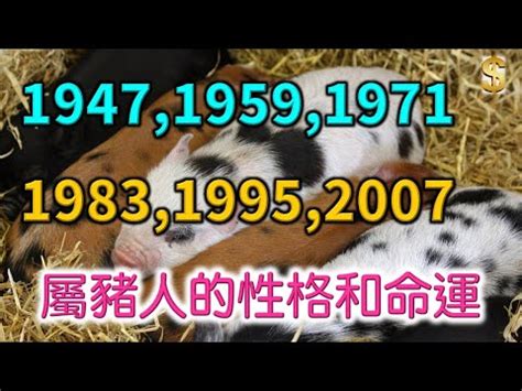 屬豬房子座向|屬豬的人住什麼房子 